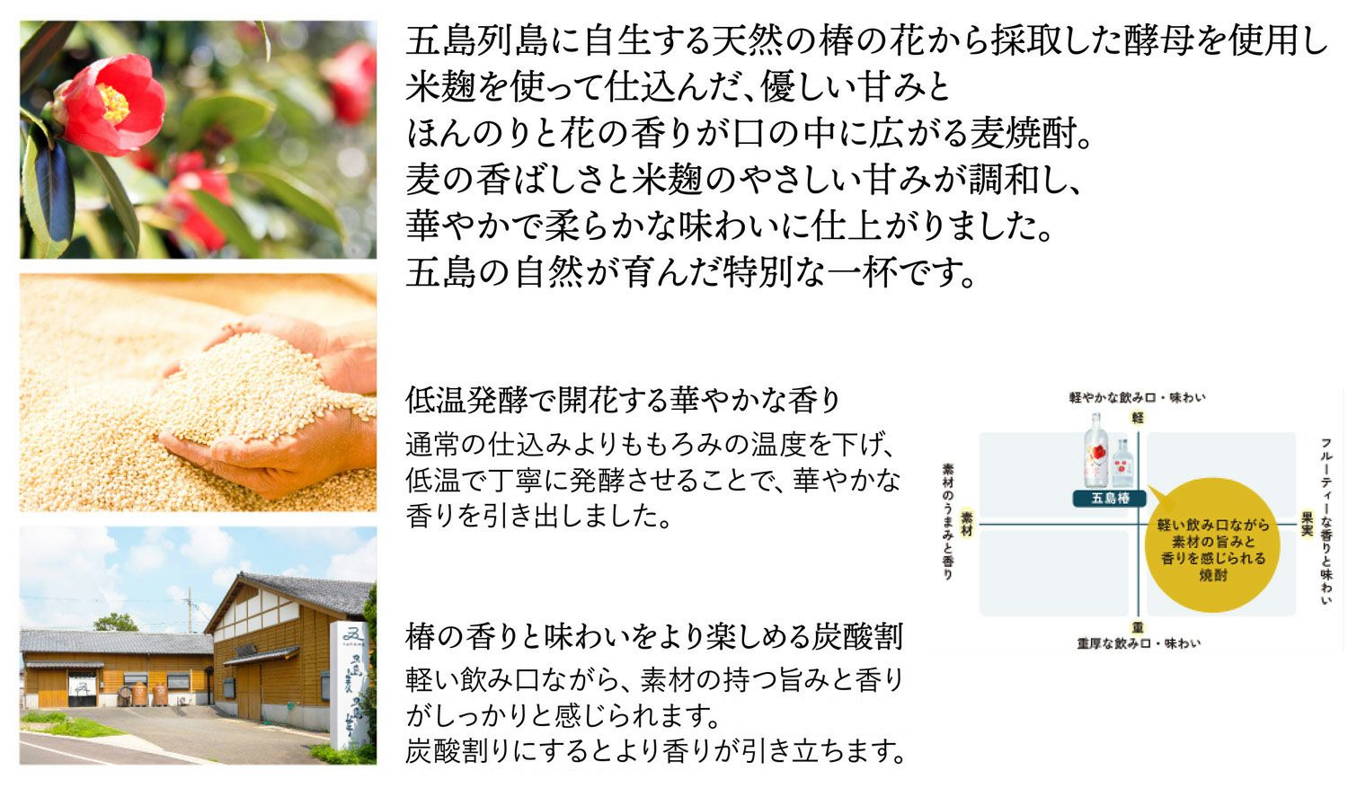 五島椿 23度 500ml