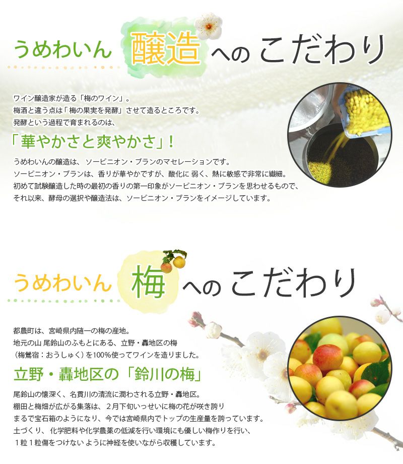 うめわいん 9度 750ml